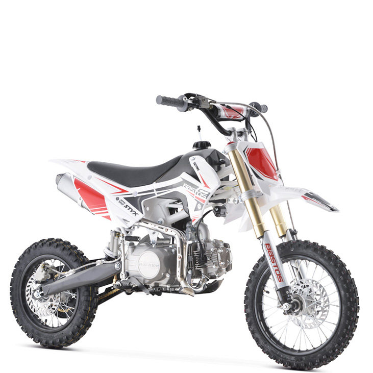 Bastos Gamme BS 90cc